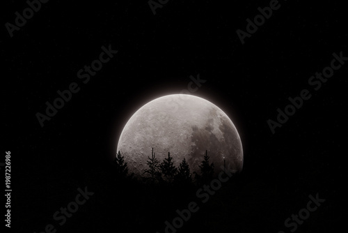 3d Rendering of silhouettes of treetops in front of a bright moon