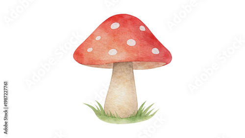 Watercolor Red Spotted Mushroom Amanita Muscaria Isolated on White Background