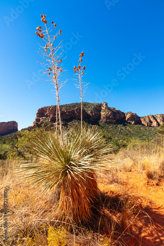 Sedona Arizona Landscape
