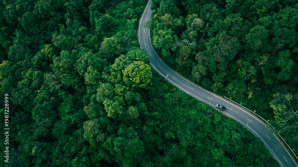 Fototapeta premium Scenic winding road in forest, suitable for green business concepts, climate responsibility, sustainable investment planning, and eco-conscious corporate messaging.