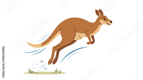 Jumping Kangaroo Vector Illustration Isolated on White Background