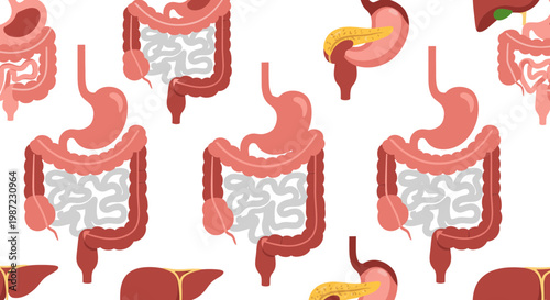 Human Digestive System Anatomy Seamless Pattern Vector Illustration, Flat Medical Organ Icons Background for Biology Education and Healthcare Clinic Design