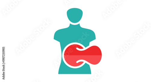 Human Liver Anatomy Vector Illustration, Medical Organ Icon with Stylized Internal Anatomy Design for Healthcare and Clinical Diagnostic Infographics