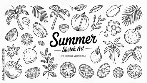 A collection of hand drawn tropical fruits leaves and flowers are arranged around the word summer in elegant script lettering high quality professional detailed modern stylish