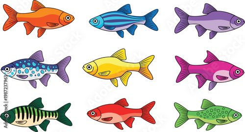 Colorful Tropical Aquarium Fish Collection with Various Barb and Danio Species