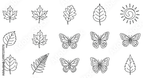 A collection of leaves and butterflies isolated on white background, Vector, illustration