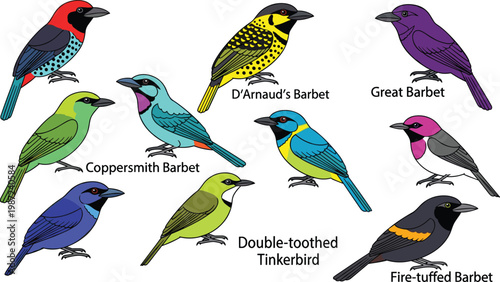 Marine Crustacean Collection with Various Crab and Hermit Crab Species Isolated on White