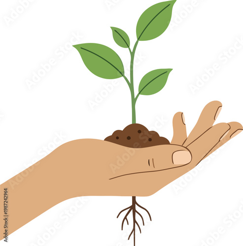 Human hand holding small green plant seedling with roots and soil