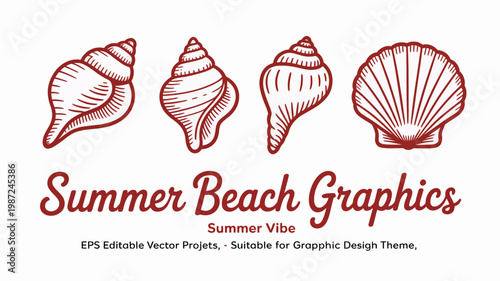A vintage style illustration showcases four detailed seashells in a reddish brown hue accompanied by handwritten text reading summer beach graphics high quality professional modern elegant