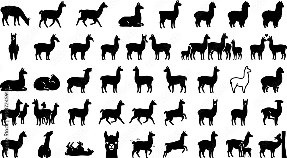 Fototapeta premium Alpaca Activity Icons. Alpaca activities. Line icon set of Alpac