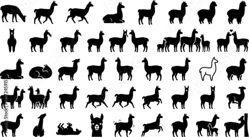 Alpaca Activity Icons. Alpaca activities. Line icon set of Alpac
