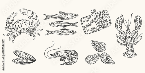 Hand drawn Mediterranean italian seafood. Set of sardines, lobster, oysters, fish, shrimp, mussels, crab. Ink doodle food sketch for menu, greeting ,cards, poster, invitation, postcard, packaging

