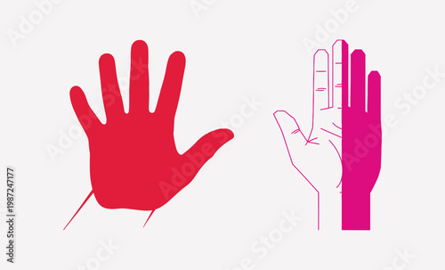 Anatomy of a hand showing bones and muscle Vector, EPS