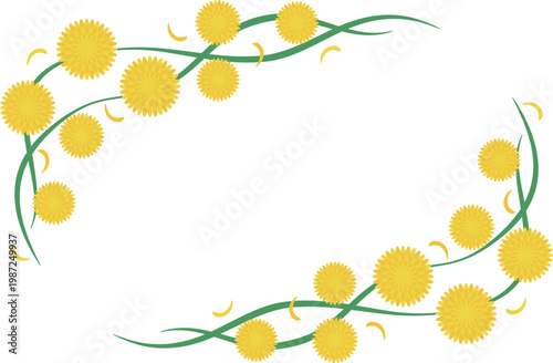 菊のフレーム　横位置