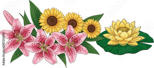 Floral Illustration Set with Pink Lilies, Sunflowers, and Water Lily Flowers, Botanical Design, Nature Elements, Garden Blooms, and Decorative Plant Collection