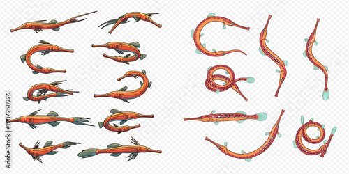 Set of pipefish and seahorse-like creatures with various body shapes and poses.