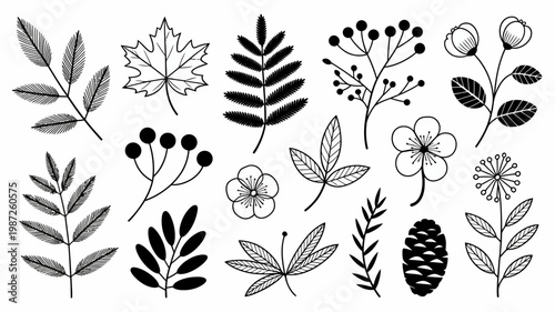 A collection of delicate hand drawn botanical illustrations featuring various leaves flowers and a pinecone in black ink high quality professional detailed modern elegant stylish clean
