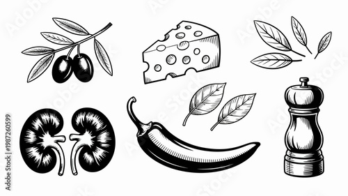 A vintage style illustration showcases olives cheese pepper and spices arranged with botanical leaves for a culinary theme high quality professional detailed modern elegant stylish clean