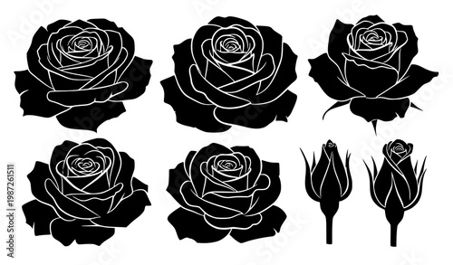 Rose flower silhouette vector set blooming roses and buds black floral illustration isolated on white background