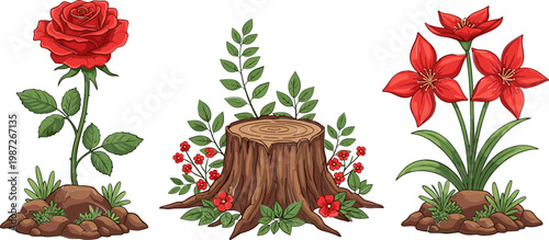 Flower and Plant Set Featuring Rose, Red Flowers, and Tree Stump with Greenery for Gardening, Nature, and Floral Illustration Designs