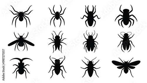 Silhouettes of insects and arachnids vector illustration isolated on white spiders beetles flies ants and wasp icons