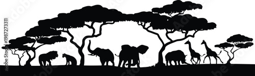 Black silhouette vector illustration of a wild elephant and mammal animals isolated on a white background nature scene