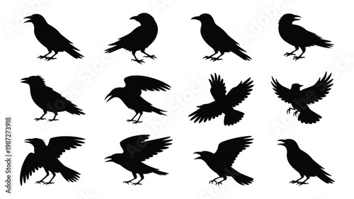 Silhouettes of black crows in various poses standing flying and perching against a white background isolated and detailed minimalist design vector illustration