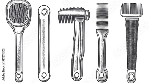 Hand-drawn illustration of five grooming tools, black and white, against a white background