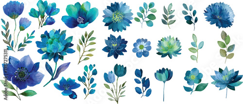 blue flowers on white background