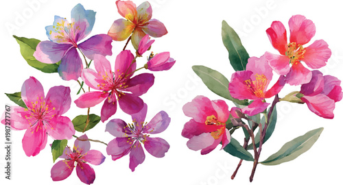 pink and white lilac flowers