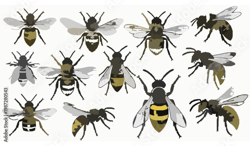 Hand drawn bee and wasp insect set with honeybee, bumblebee and hornet illustrations in sketch style vector collection isolated on white background