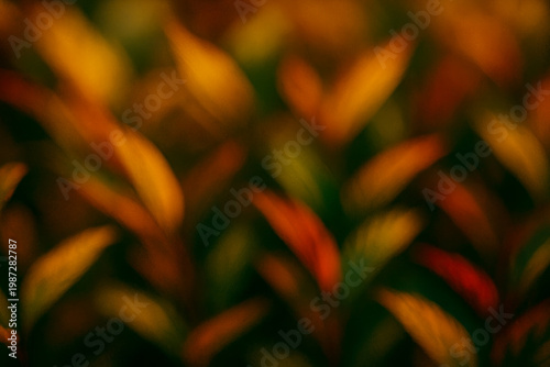 Abstraction of leaves background with a shallow depth of field