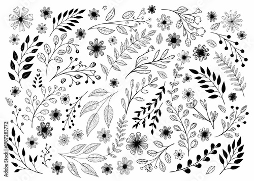 Hand drawn floral collection with various leaves and blossoming wildflowers