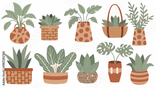 Assorted potted houseplants in decorative containers a botanical illustration
