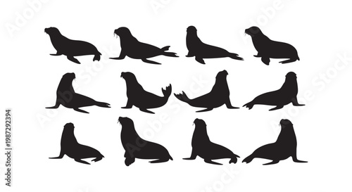 Seal and sea lion silhouettes collection showing marine mammals in various natural resting and swimming poses outdoors.