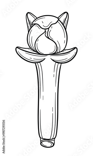 Single dried clove bud flower head botanical spice vector illustration sketch art.