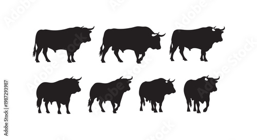 Seven black bull silhouettes in different standing and walking poses isolated on white background livestock animal design.