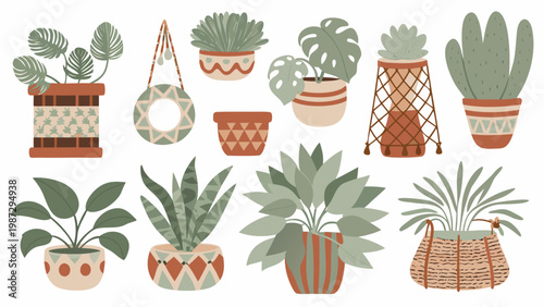 A collection of colorful potted houseplants and hanging plant designs
