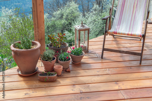 flowers and aromatic plants  potted  on the floor of a wooden terrace of alpine chalet  with deckchair and trees in garden background