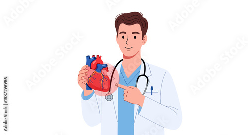 Doctor holding a realistic human heart model, explaining cardiovascular health and medical science concepts