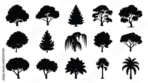 Black silhouettes of diverse trees collection including oak pine palm and deciduous types isolated on white background vector art