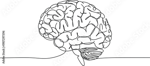 Black and white line of human brain, view anatomy biology