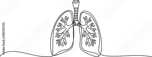 Black and white line of two stylized lungs with detailed bronchi