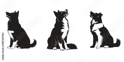 3 Dogs In One Picture Border Collie Silhouette Vector