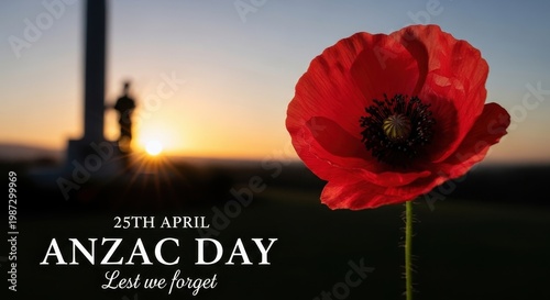 A respectful tribute to the fallen soldiers on anzac day with a vibrant red poppy at sunrise