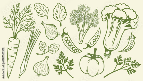 A botanical illustration showcasing various fresh vegetables and leafy greens