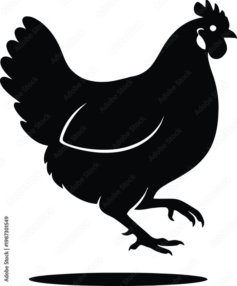 Fototapeta premium Silhouette of a Chicken Walking with One Leg Raised.