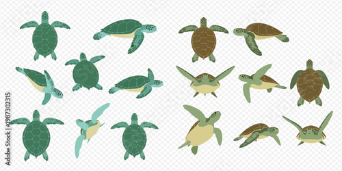 Collection of sea turtles in various poses, showcasing different angles and species.