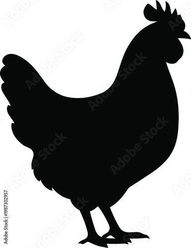 Silhouette of a Standing Chicken Facing Right.
