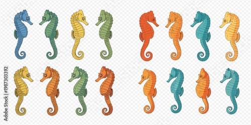 Colorful seahorse vector collection, set of various marine animals in different colors and poses, isolated on transparent background.